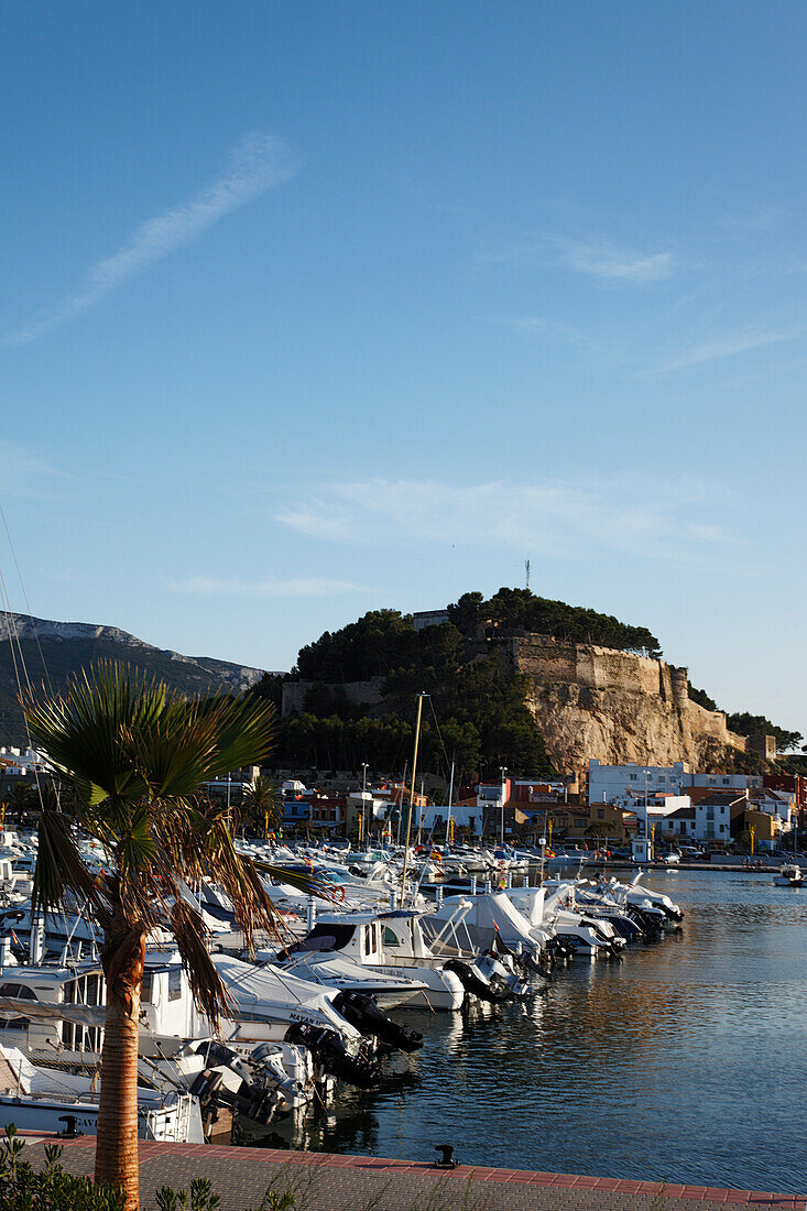 Yachthafen, Burg im Hintergrund, Denia, Provinz Alicante, Spanien