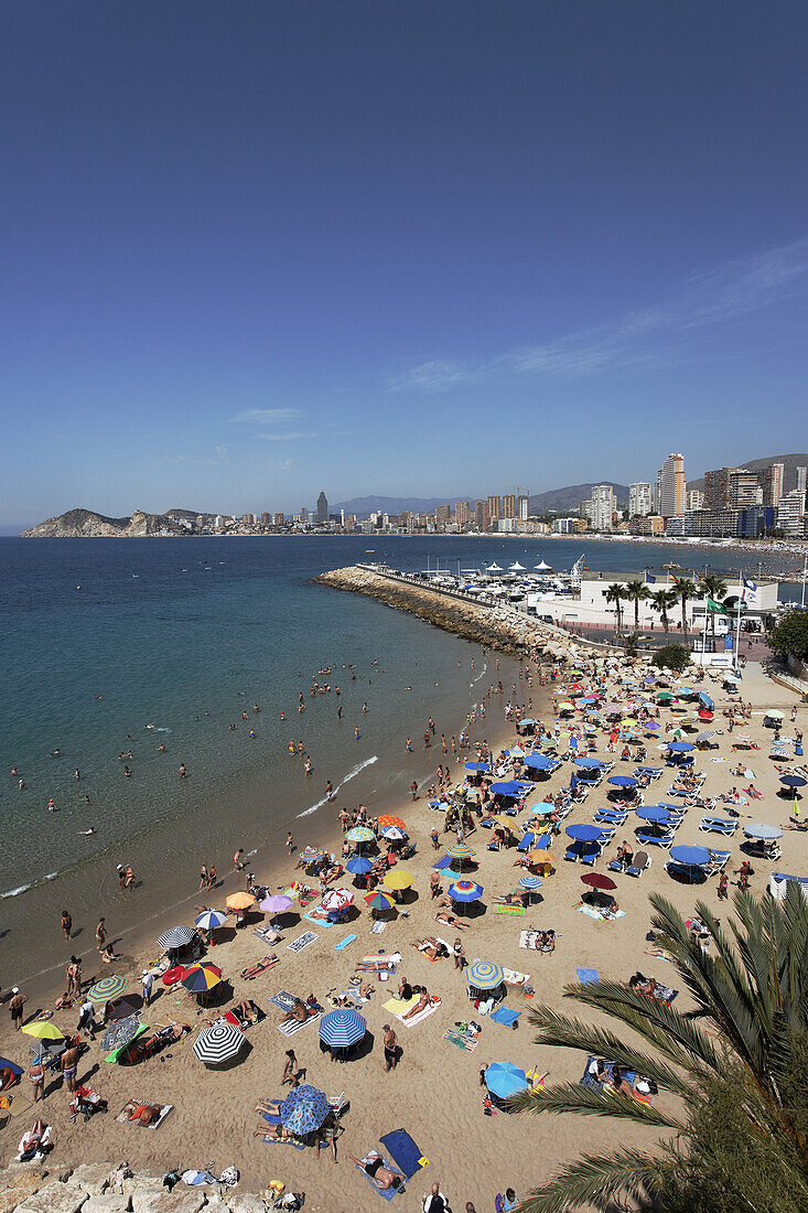 Beach life, view of in Summer, Costa Blanca, Benidorm, Province Alicante, Spain