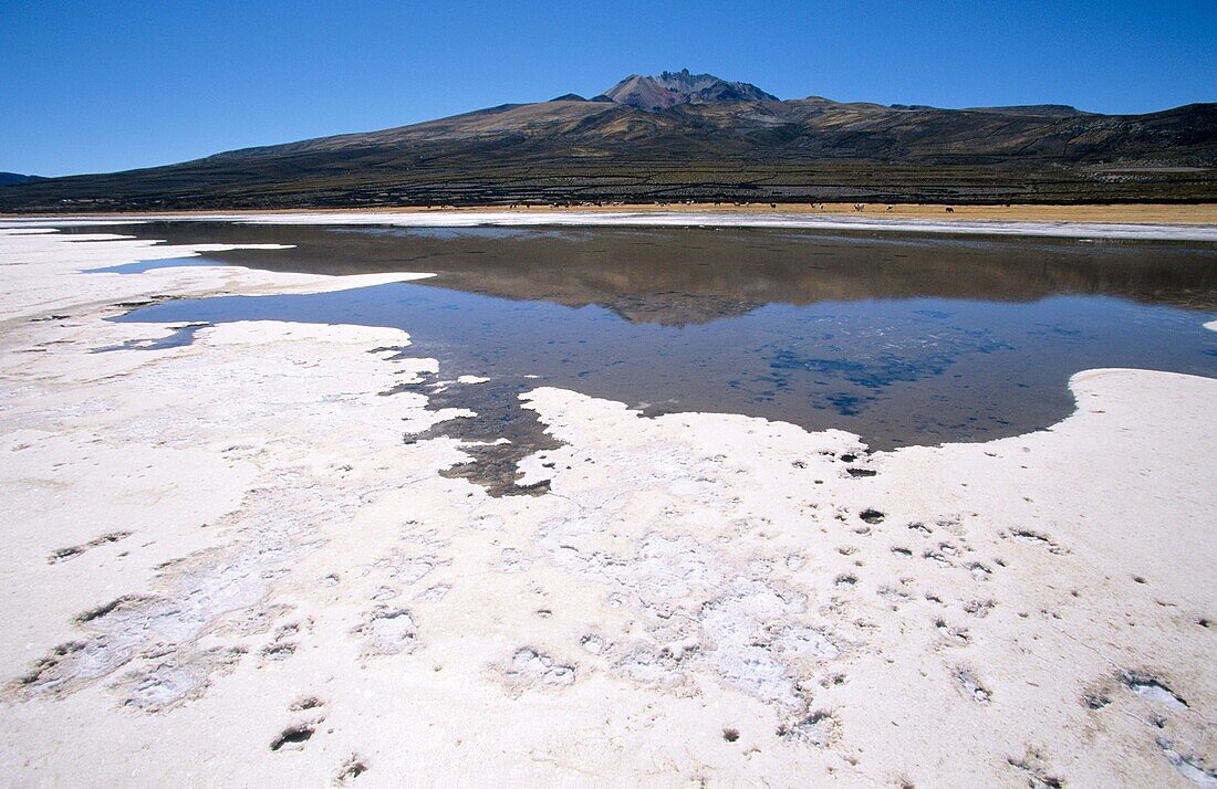 Tanupa volcano Salar de Uyuni Potosi Bolivia