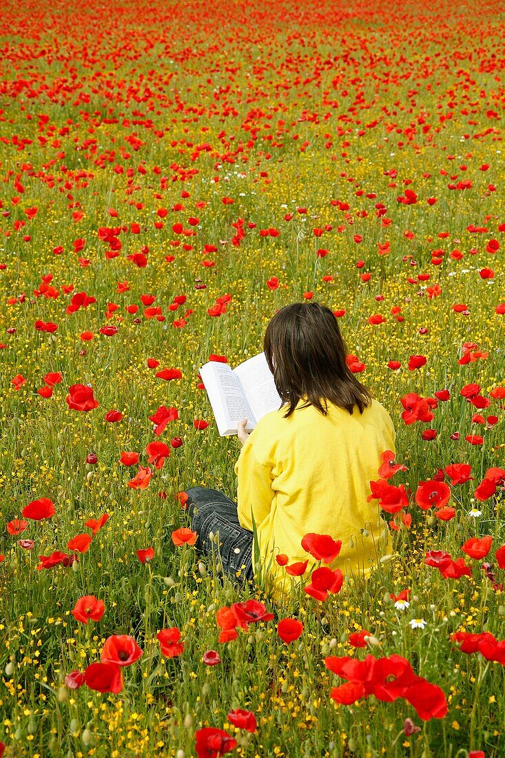 Reading a book with poppies