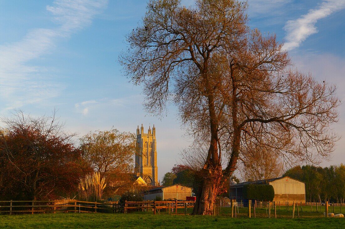 View of Wrington village in the evening winter sun from farmland in Somerset, England