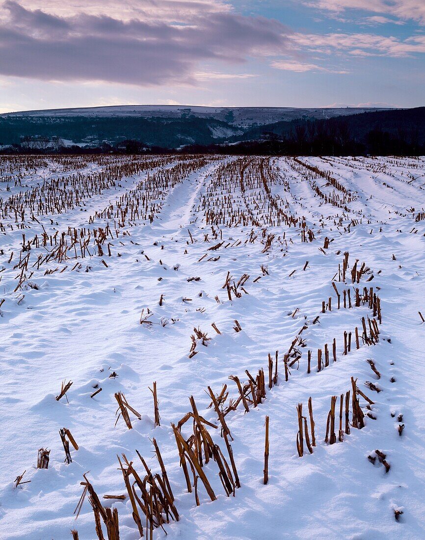 A snow covered field at the foot of the Mendip Hills looking towards Burrington Combe, Wrington, North Somerset, England, United Kingdom