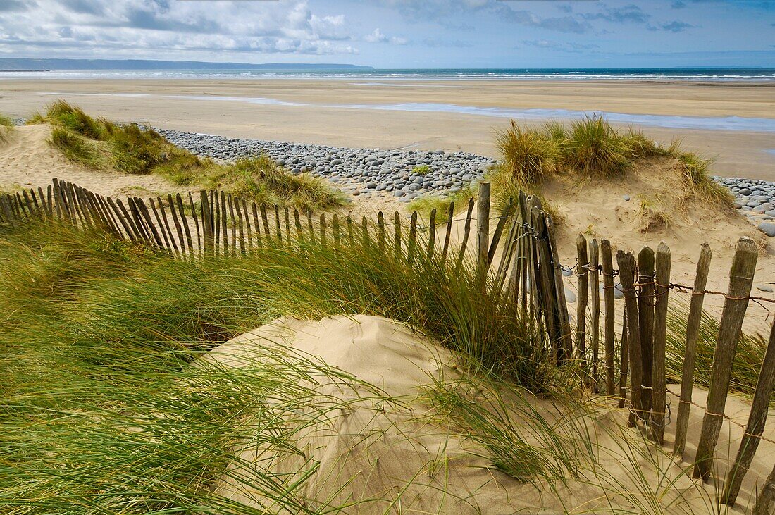 Sand dunes at Northam Burrows on the South West Coast Path near Westward Ho! in Devon, England