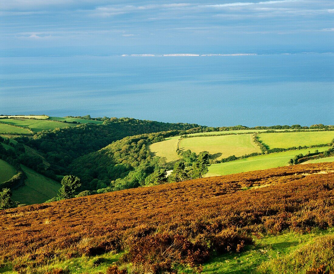 Porlock Bay in the Bristol Channel viewed from Exmoor National Park near Porlock, Somerset, England The cliffs of the Glamorgan Heritage Coast is visible over the Bristol Channel
