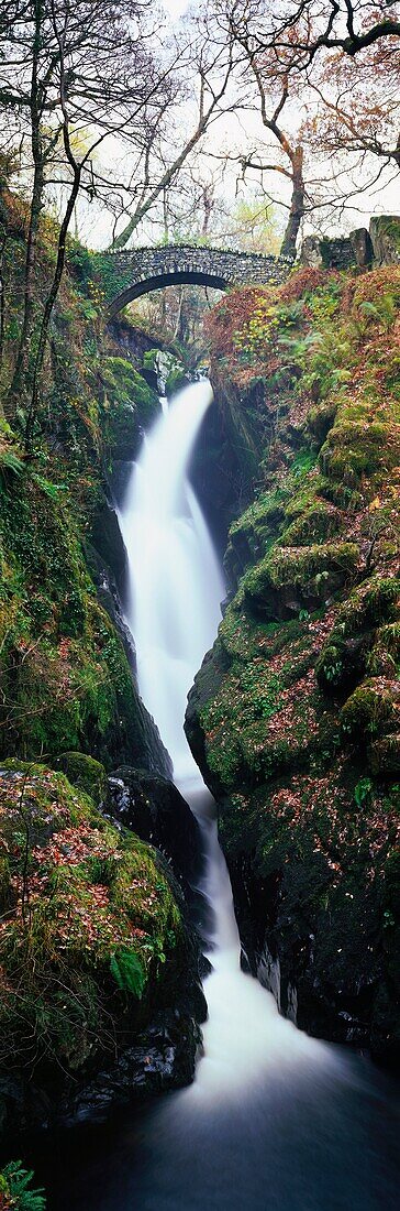 Aira Force waterfall in the Lake District National Park near Glenridding, Cumbria, England, United Kingdom