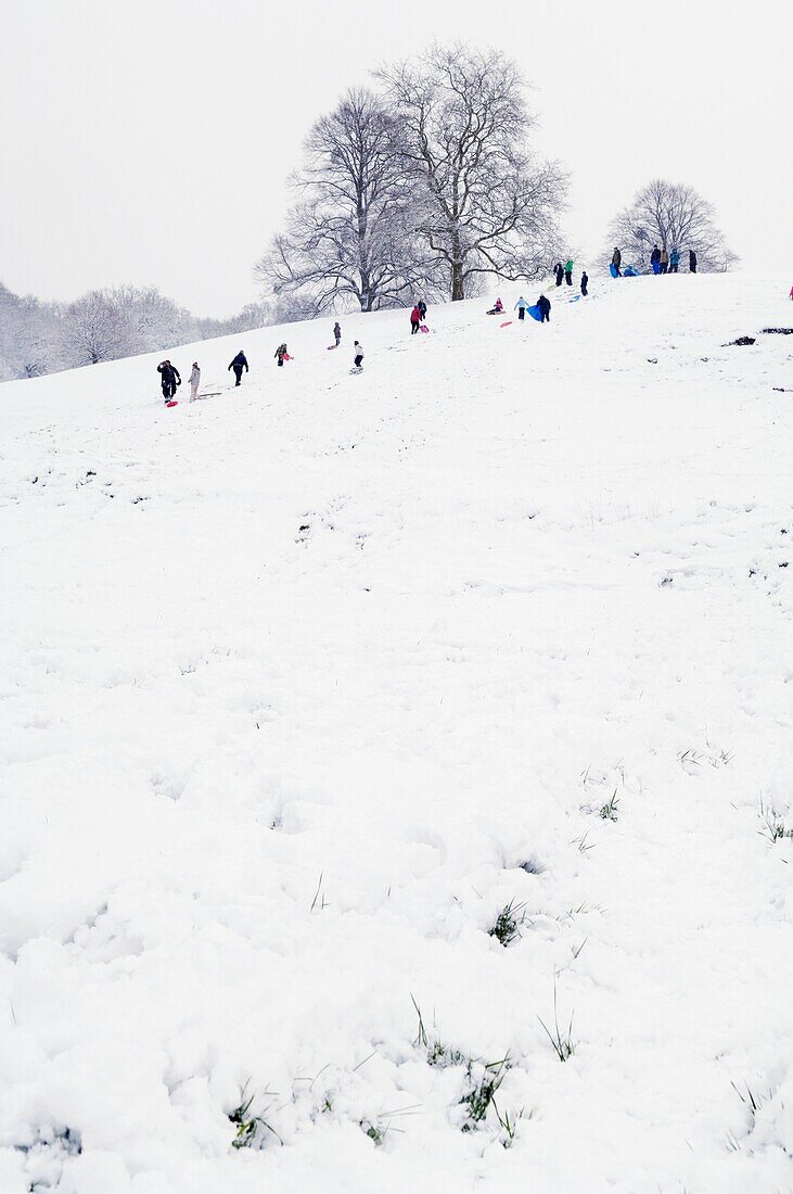 Children sledging on a snow covered hillside Wrington, Somerset, England, United Kingdom
