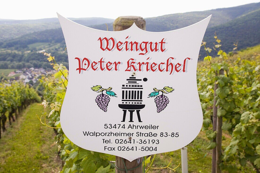 Europe, Germany, Rhineland, area of Bonn, Ahrweiler, wineyards, trail of the wine
