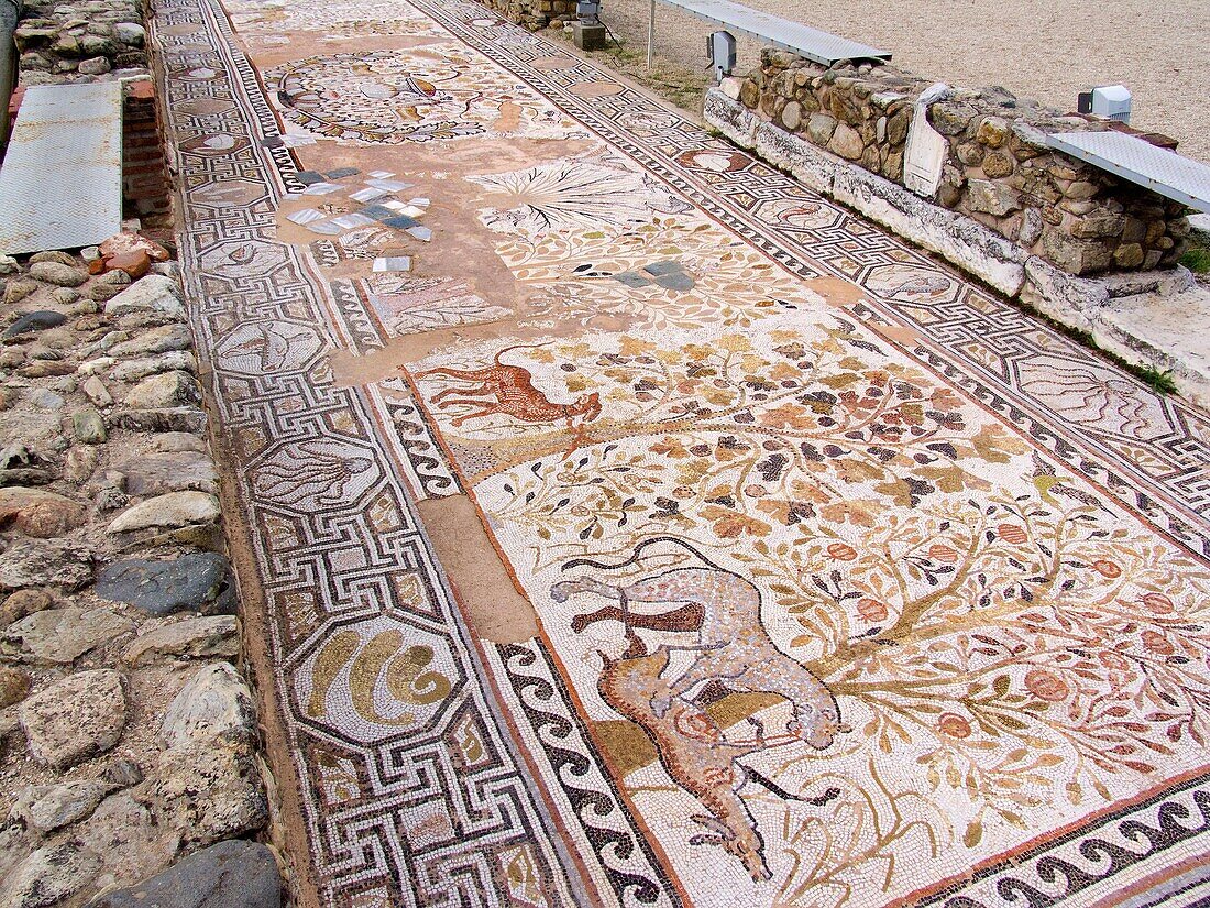 europe, macedonia, ruins of heraclea lyncestis, episcopal residence, mosaics
