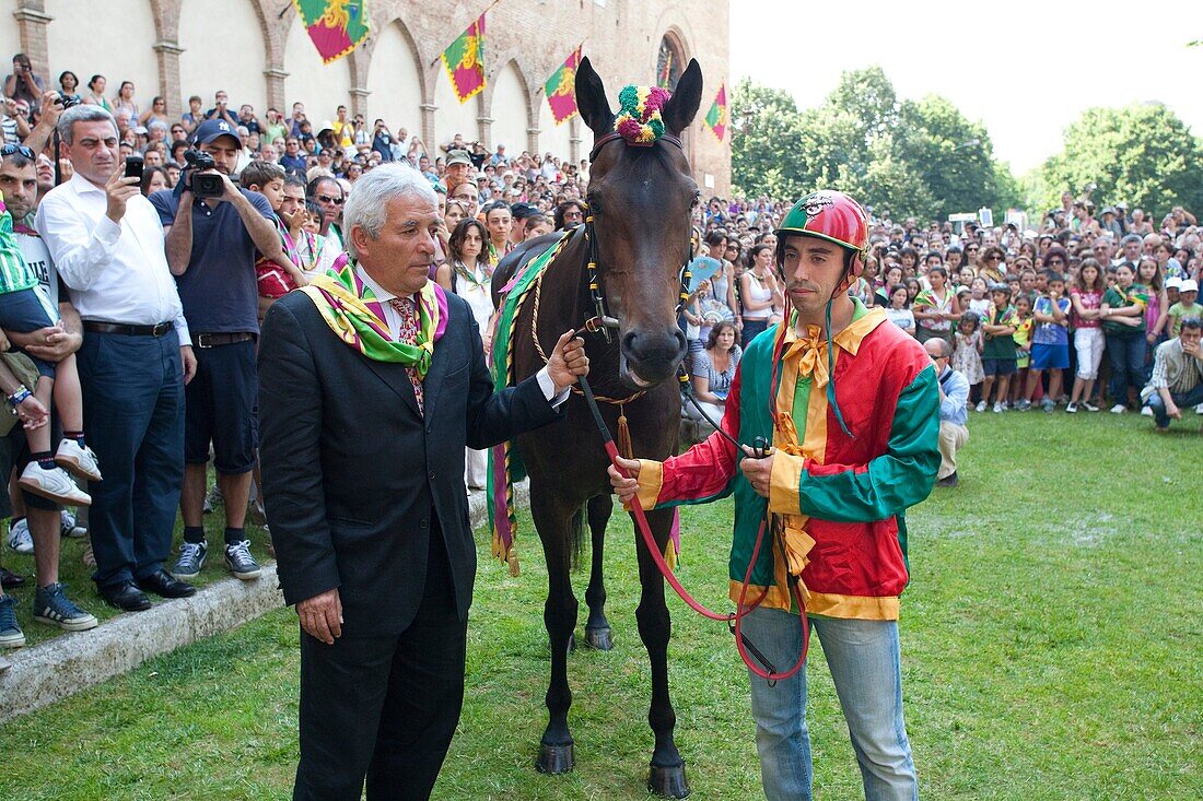 blessing of the horse, contrada of dragon, palio of siena, siena, tuscany, italy, europe benedizione del cavallo, contrada del drago, palio di siena, siena, toscana, italia, europa