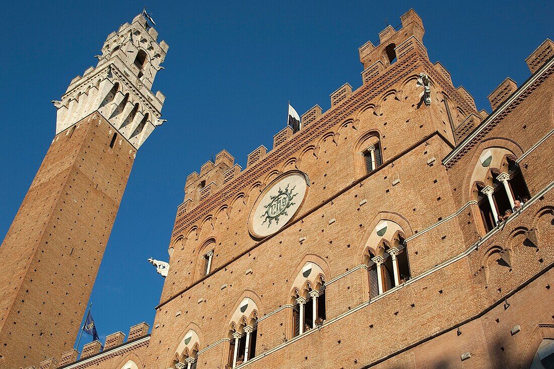 torre del mangia and city hall, siena, tuscany, italy, europe