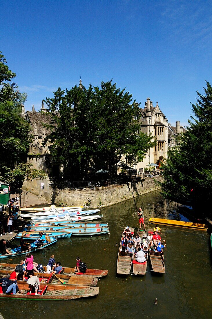 Punts and Rowing boats for hire from Magdalen Bridge, Oxford, England, UK