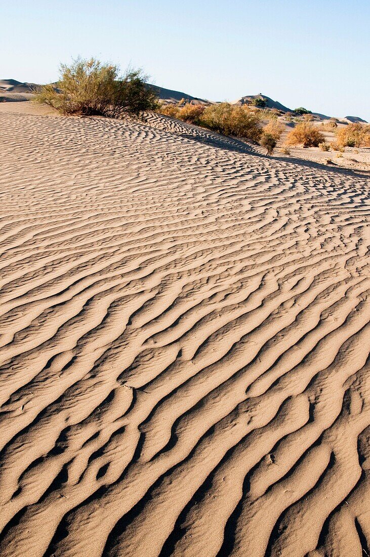 In October 2009, China's Inner Mongolia Autonomous Region EJINAQI, Desert