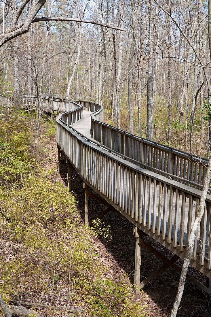 Fort Payne, AL - Apr 2009 - Wooden walkway of walking trail winds through the woods of DeSoto State Park at Fort Payne, Alabama