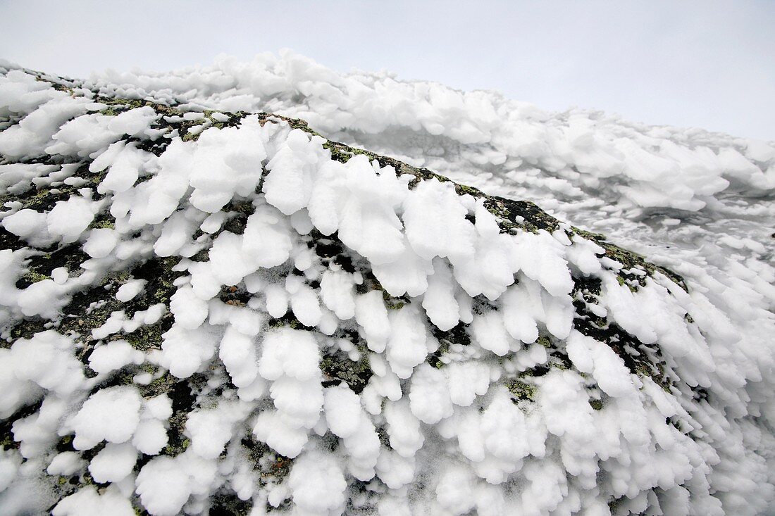 Appalachian Trail - Rime ice covers the summit of Mount Garfield during the winter months Located in the White Mountains, New Hampshire USA Notes: Rime ice forms when fog or water droplets freeze on cold surfaces