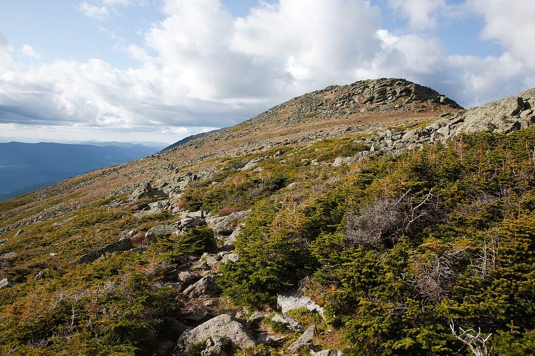 Appalachian Trail near Mount Clay in the White Mountains, New Hampshire USA