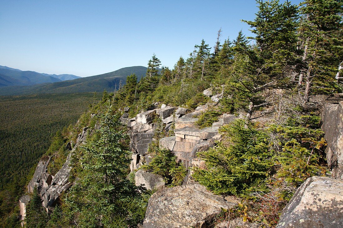 Zealand Notch - The summit of Zeacliff Mountain during the summer months Located along the Appalachian Trail in the White Mountains, New Hampshire USA
