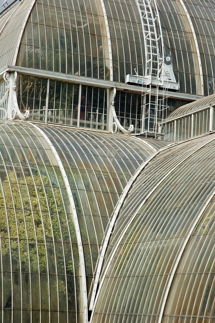 The Palm House at the Royal Botanic Gardens, Kew, London, England