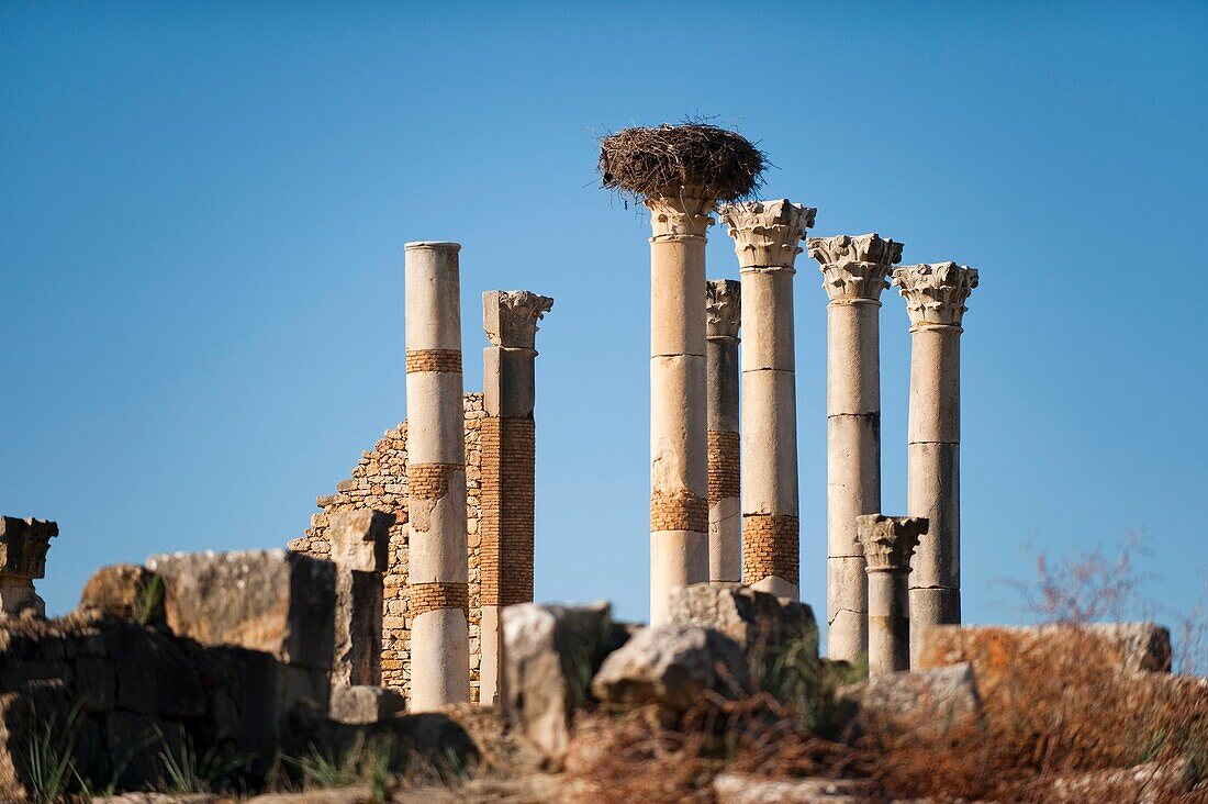 Volubilis, Morocco