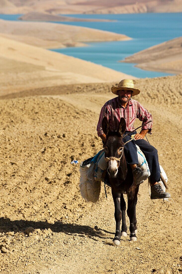 Farm-worker on the donkey in front of the lake, Nzala El Oudaia, Morocco