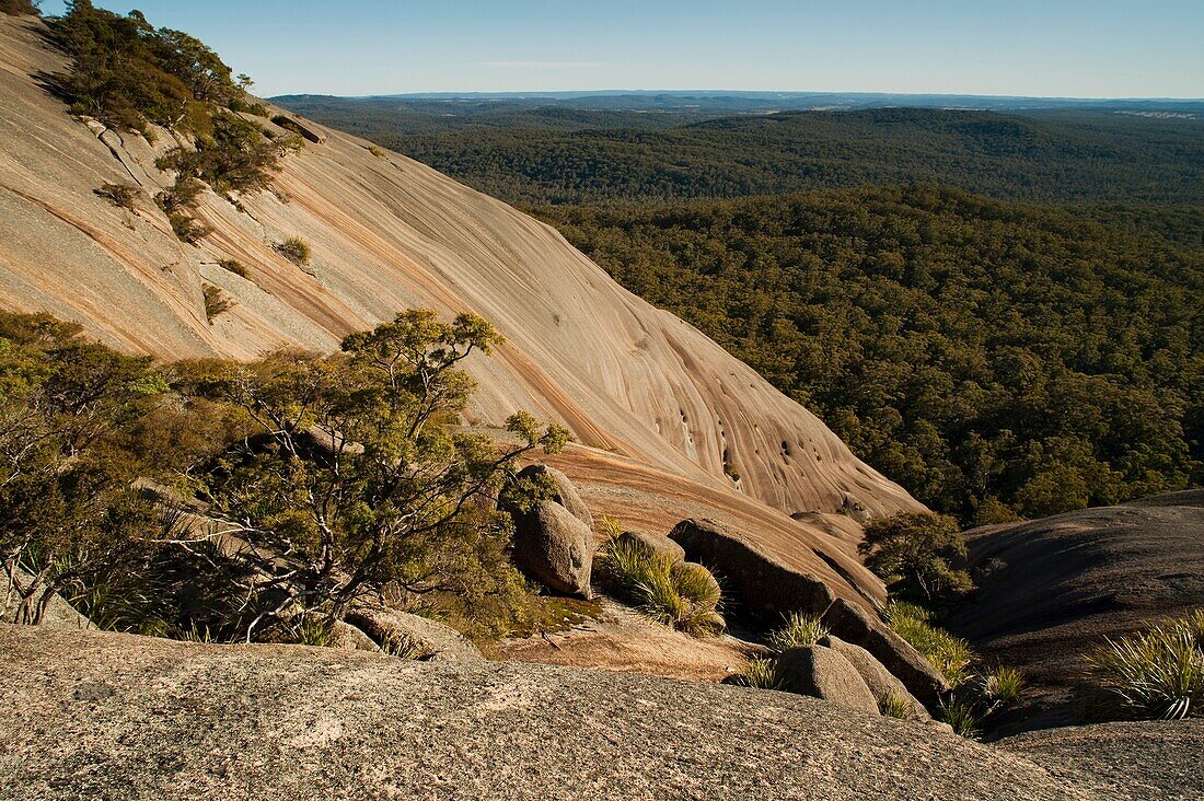 Bald Rock, Tenterfield, New South Wales, Australia