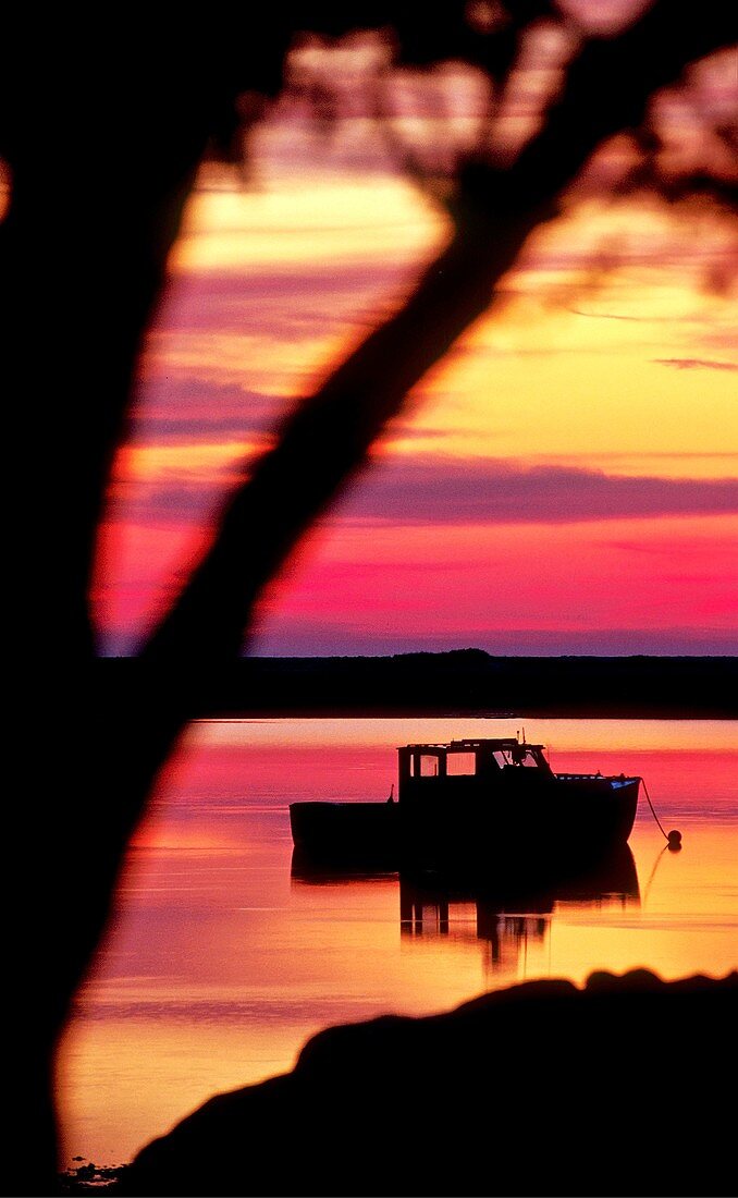 Lobster boat at sunrise, Robert's Cove, Orleans, Cape Cod