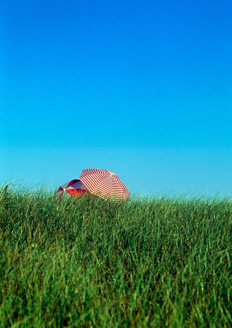 Intimate beach umbrellas, dune grass and sky, Cape Cod National Seashore