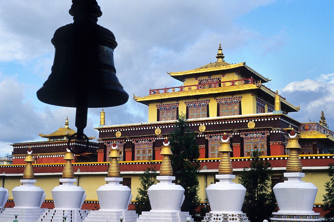 Shechen monastery, university of Buddhist philosophy, Bodnath, Kathmandu, Nepal, Himalayas, South Asia