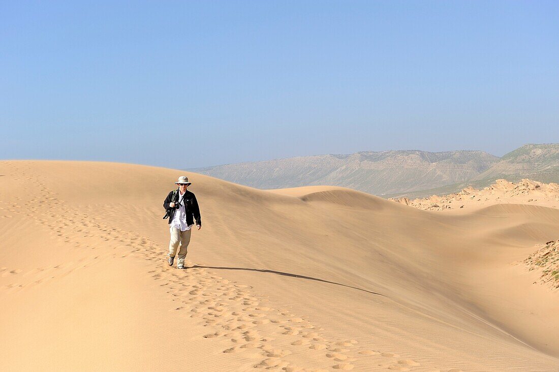 Dünen um Tamri an der Atlantikküste, zwischen Agadir und Essaouira, Marokko, Nordafrika