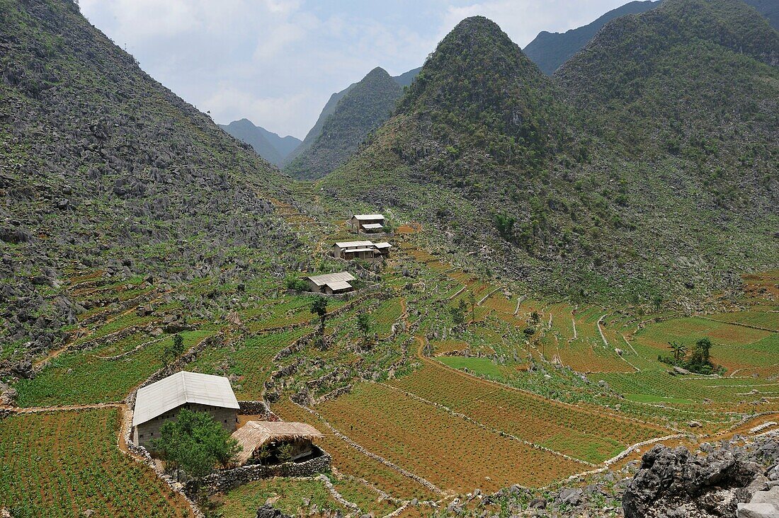 Weiler Sa Phin, Hochebene von Dong Van, Provinz Ha Giang, Nordvietnam, Südostasien