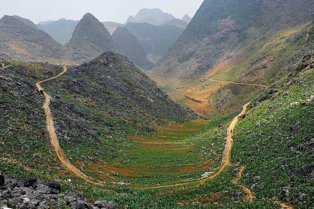 Tal um Sa Phin, Dong-Van-Hochebene, Provinz Ha Giang, Nordvietnam, Südost-Asien