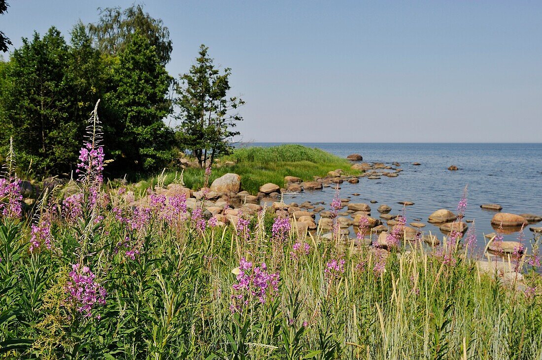 Altja, Ostseeküste, Lahemaa-Nationalpark, Estland, Nordeuropa