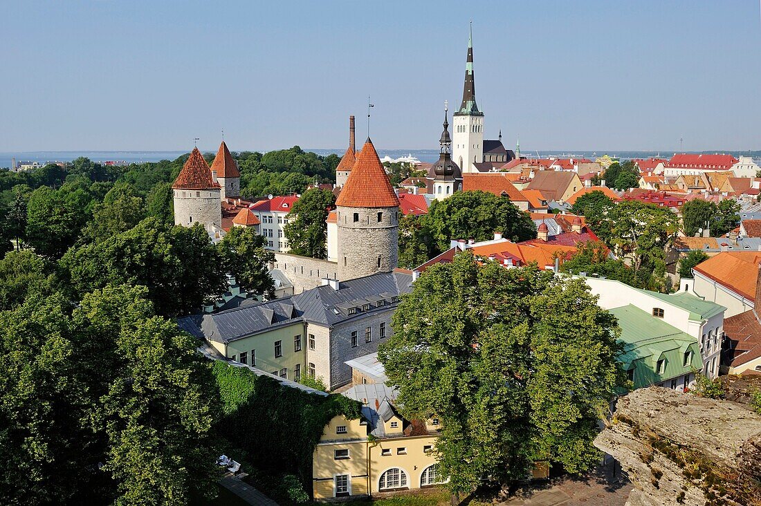 Türme und Stadtmauern der Altstadt von der Aussichtsplattform Kohtu auf dem Toompea-Hügel aus gesehen, Tallinn, Estland, Nordeuropa