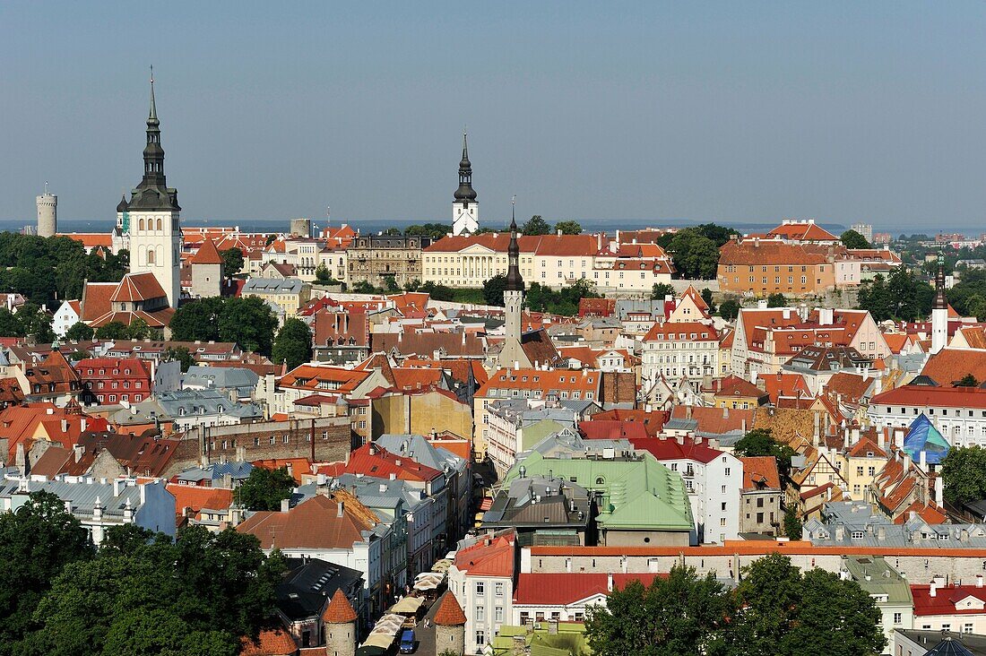 Die Altstadt von Tallinn vom Hotel Sokos Viru aus gesehen, Estland, Nordeuropa