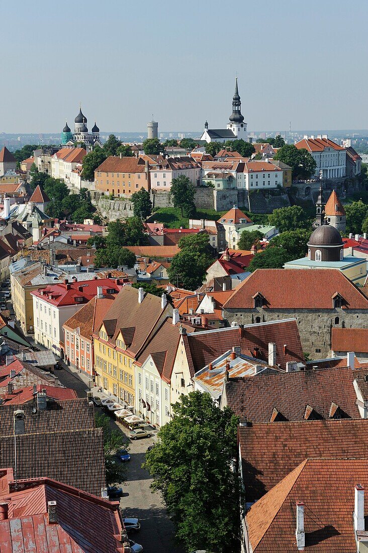 Die Altstadt vom Turm der St.-Olav-Kirche aus gesehen, Tallinn, Estland, Nordeuropa