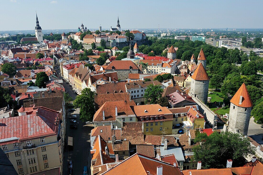 Die Altstadt vom Turm der St. Olavskirche aus gesehen, Tallinn, Estland, Nordeuropa