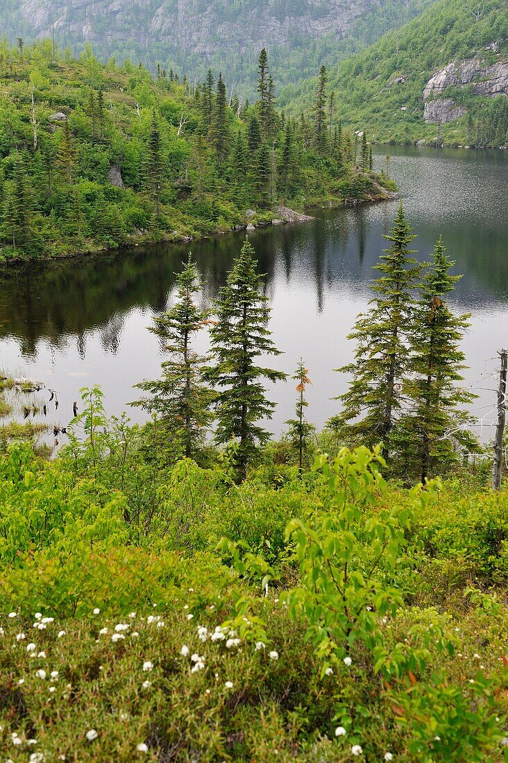 Georges-See auf dem Pioui-Pfad, Grands-Jardins-Nationalpark, Provinz Quebec, Kanada, Nordamerika