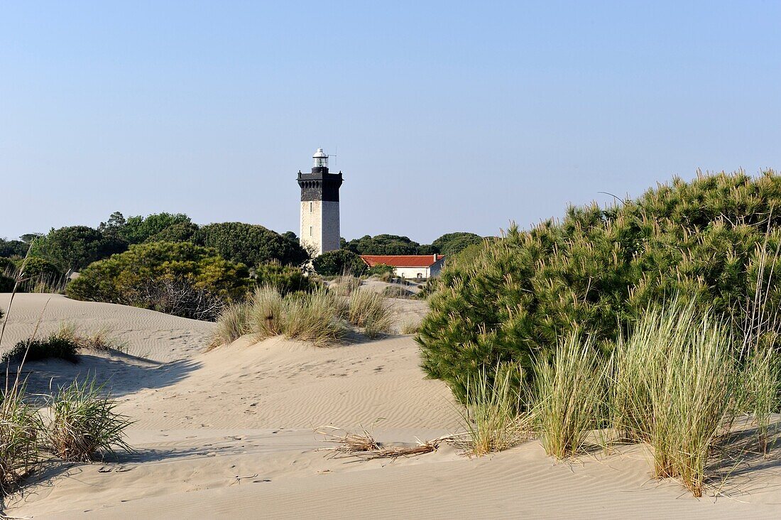 Leuchtturm von Espiguette, Grau du Roi, Departement Gard, Frankreich, Europa