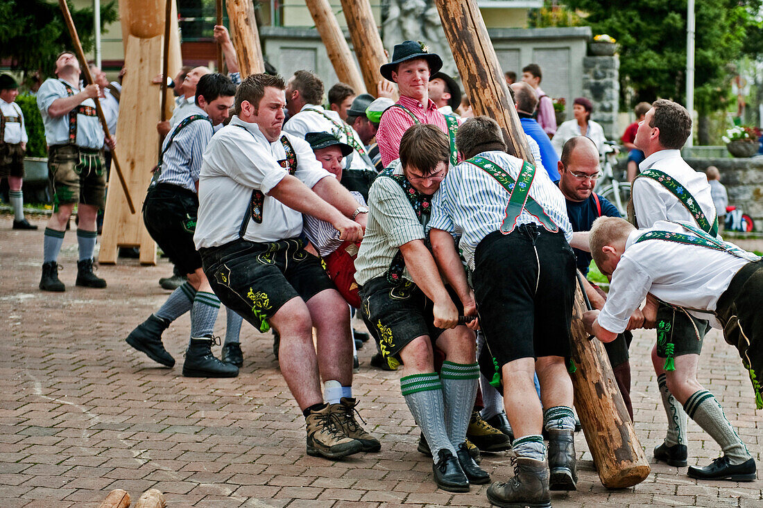 Maibaum aufstellen, Sindelsdorf, Weilheim-Schongau, Bayerisches Oberland, Oberbayern, Bayern, Deutschland