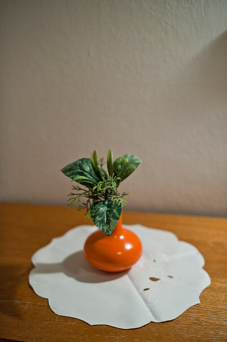 Orange Vase mit einer Pflanze, München, Bayern, Oberbayern, Deutschland