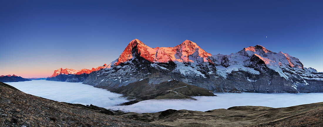 Panorama mit Alpenglühen an Wetterhorn, Eiger, Mönch und Jungfrau, mit Nebelmeer über Grindelwald, Kleine Scheidegg, Grindelwald, UNESCO Welterbe Schweizer Alpen Jungfrau - Aletsch, Berner Oberland, Bern, Schweiz, Europa