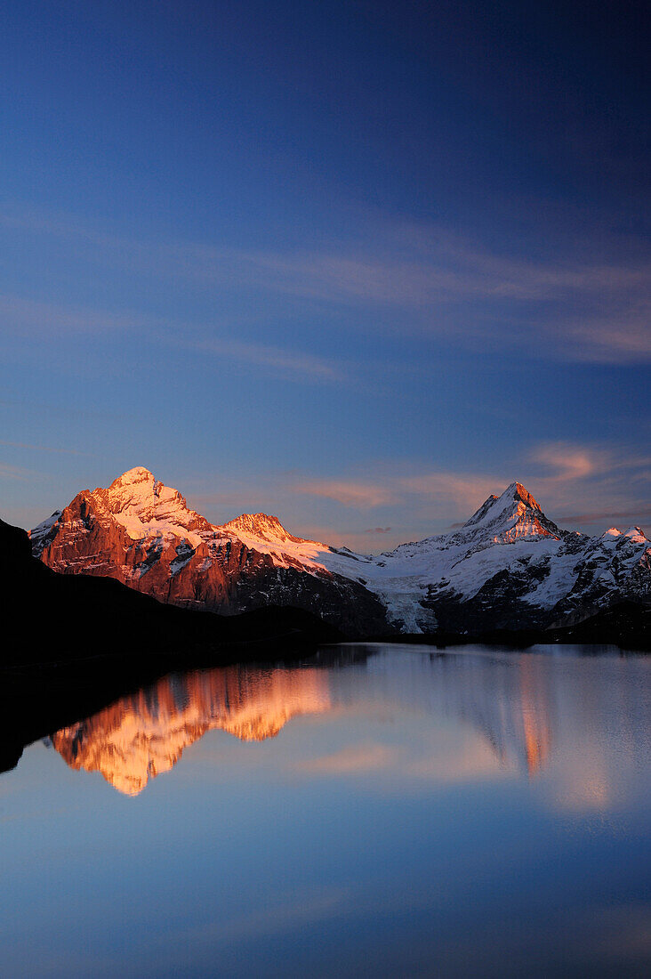 Lake Bachsee with alpenglow at Wetterhorn, Lauteraarhorn and Schreckhorn, Bachsee, Grindelwald, UNESCO World Heritage Site Swiss Alps Jungfrau - Aletsch, Bernese Oberland, Bern, Switzerland, Europe