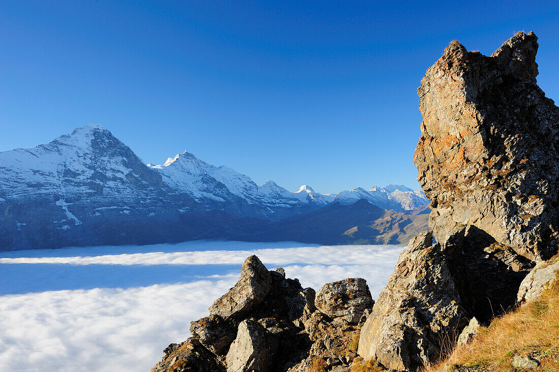 Eiger and Jungfrau above sea of fog, Bussalp, Grindelwald, UNESCO World Heritage Site Swiss Alps Jungfrau - Aletsch, Bernese Oberland, Bern, Switzerland, Europe