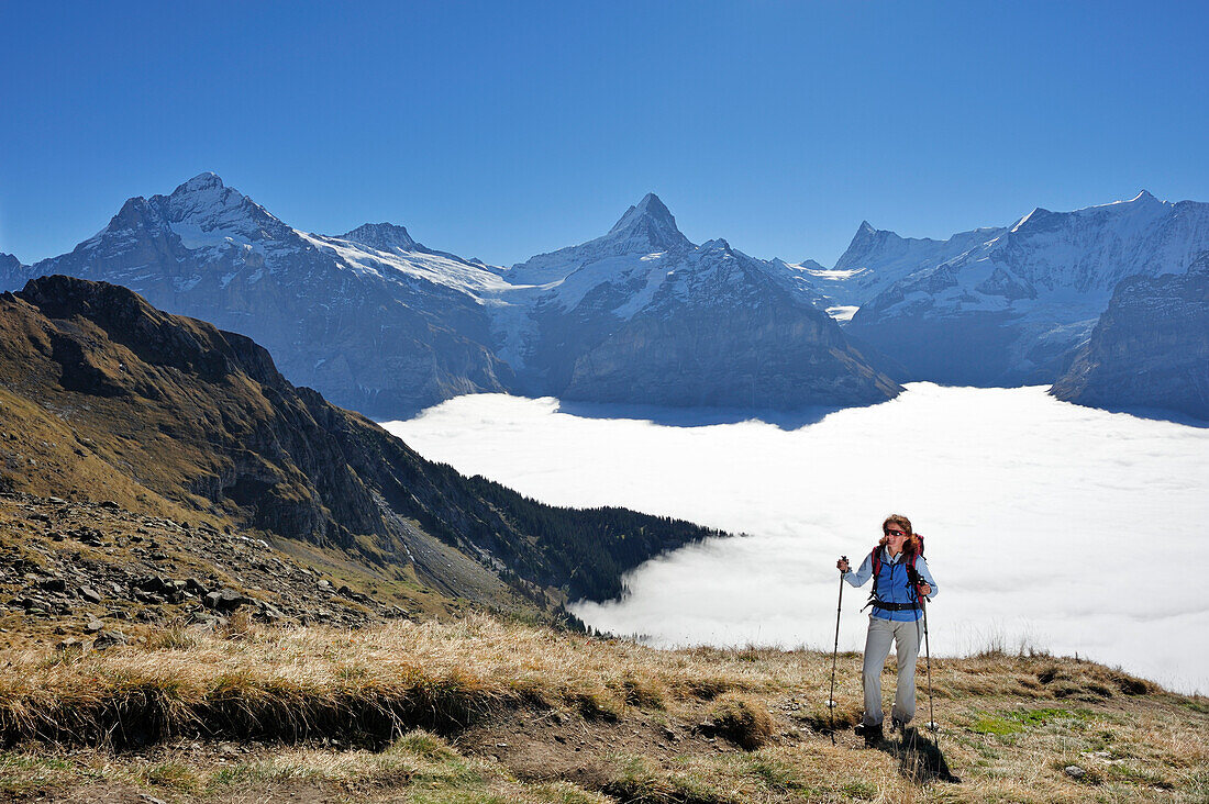 Woman hiking on trail with Wetterhorn, Schreckhorn, Finsteraarhorn and Fiescherhorn above sea of fog in background, Bussalp, Grindelwald, UNESCO World Heritage Site Swiss Alps Jungfrau - Aletsch, Bernese Oberland, Bern, Switzerland, Europe