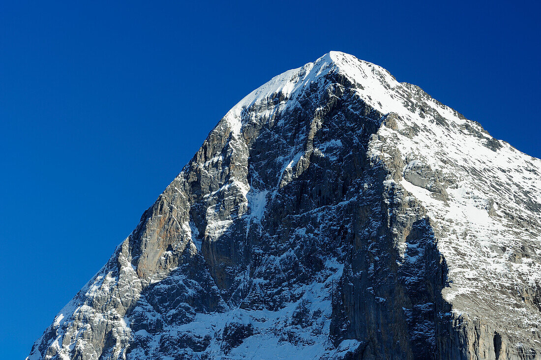 Nordwand des Eiger im Sonnenlicht, Kleine Scheidegg, Grindelwald, UNESCO Welterbe Schweizer Alpen Jungfrau - Aletsch, Berner Oberland, Bern, Schweiz, Europa