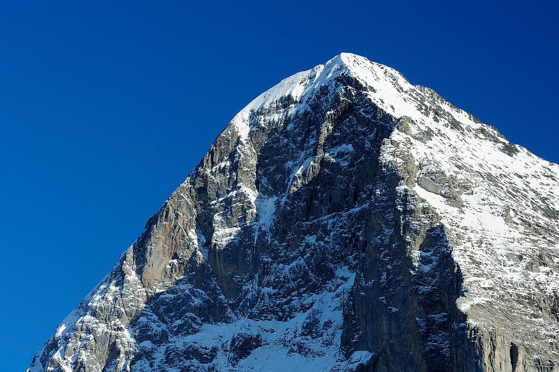 North face of Eiger in the sunlight, Kleine Scheidegg, Grindelwald, UNESCO World Heritage Site Swiss Alps Jungfrau - Aletsch, Bernese Oberland, Bern, Switzerland, Europe