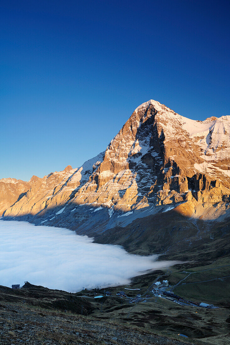 Alpenglühen an Eiger über Kleine Scheidegg, Nebelmeer über Grindelwald, Kleine Scheidegg, Grindelwald, UNESCO Welterbe Schweizer Alpen Jungfrau - Aletsch, Berner Oberland, Bern, Schweiz, Europa