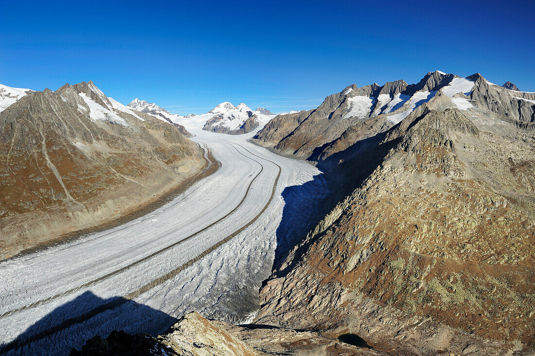 Grosser Aletschgletscher mit Jungfrau, Mönch, Eiger, Grünhorn und Wannenhorn, Eggishorn, UNESCO Welterbe Schweizer Alpen Jungfrau - Aletsch, Berner Alpen, Wallis, Schweiz, Europa