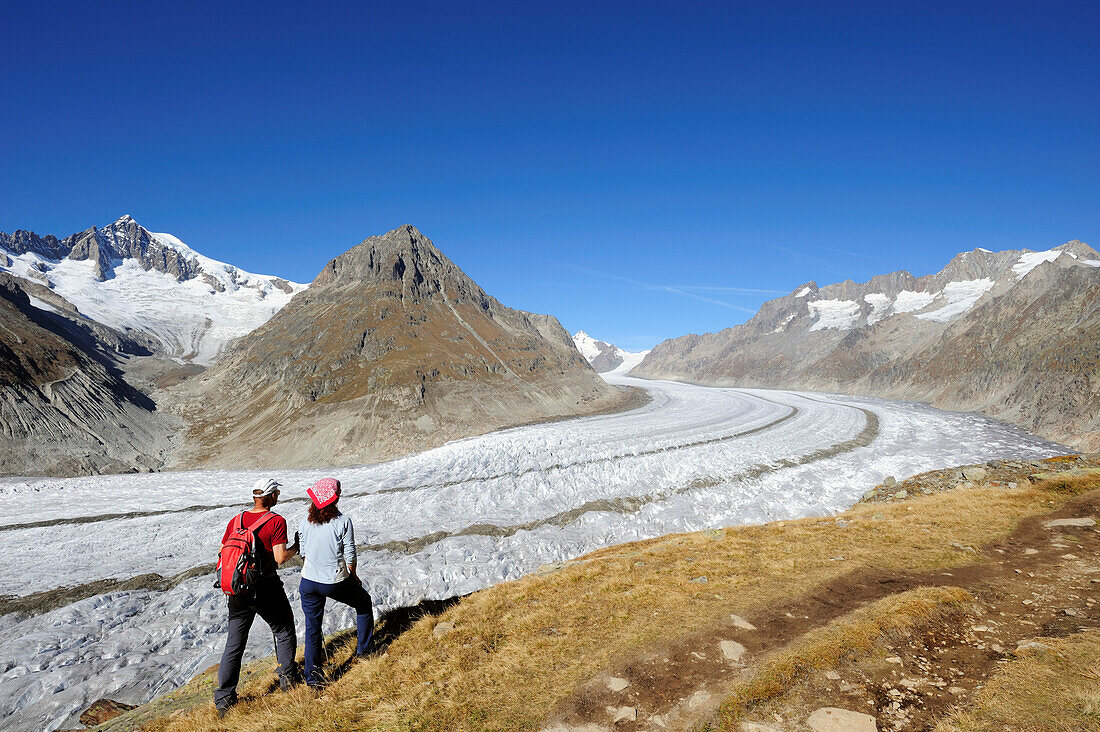 Paar blickt auf Grosser Aletschgletscher und Aletschhorn, Grosser Aletschgletscher, UNESCO Welterbe Schweizer Alpen Jungfrau - Aletsch, Berner Alpen, Wallis, Schweiz, Europa