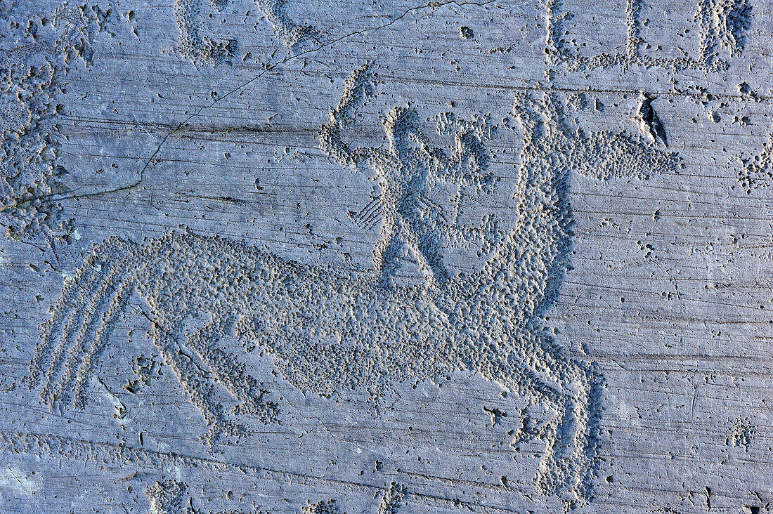 Mann steht auf Pferd, etruskische Felsritzzeichnung aus Eisenzeit, Naquane, Val Camonica, UNESCO Weltkulturerbe Val Camonica, Lombardei, Italien, Europa