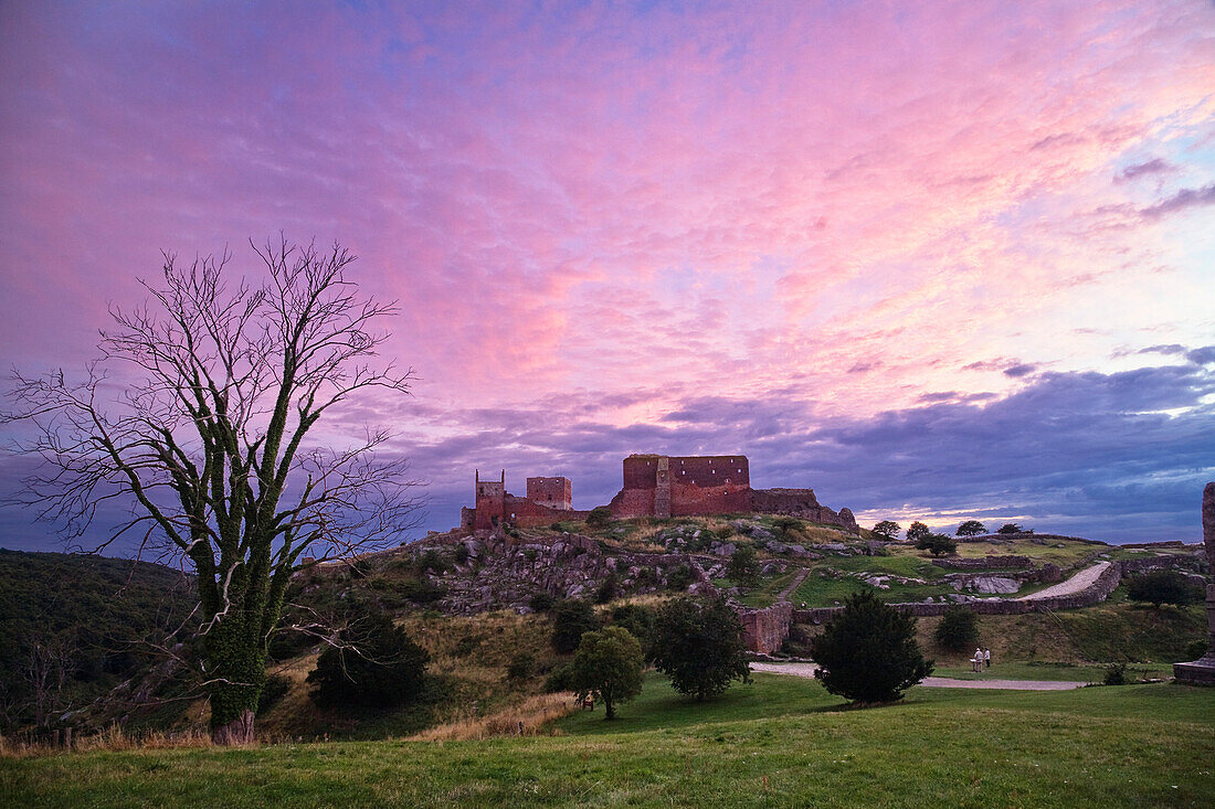 Afterglow over the ruins of the castle Hammershus, Bornholm, Denmark, Europe